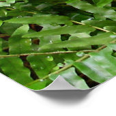 ファーンフロントズIグリーン自然 ポスター (角)