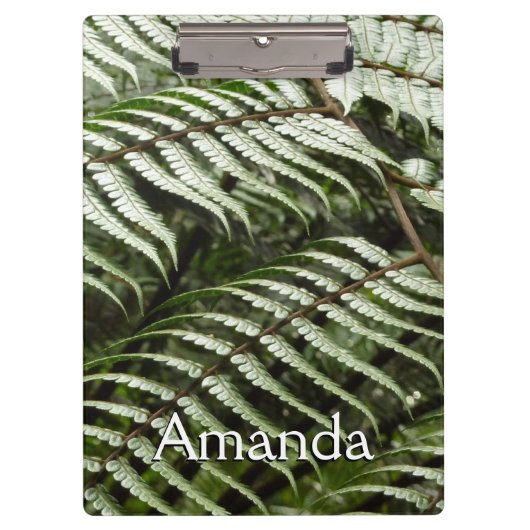 ファーンフロントズIIダークグリーン自然 クリップボード (正面)