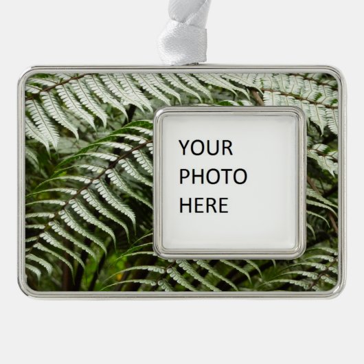 ファーンフロントズIIダークグリーン自然 シルバープレートフレームオーナメント (正面)