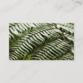 ファーンフロントズIIダークグリーン自然 名刺 (裏面)