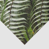 ファーンフロントズIIダークグリーン自然 薄葉紙 (詳細)