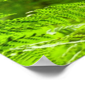 ファーンフロントズIIIグリーン自然植物学 ポスター (角)