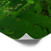 ファーンフロントズIVグリーン自然植物学 ポスター (角)