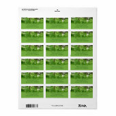 ファーンフロントズIVグリーン自然植物学 ラベル (フルシート)