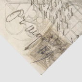 ファーンモスアフォタリーデクページティッシュペーパー 薄葉紙 (詳細)