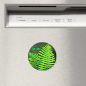 ファーンライブzen磁石 マグネット (インサイチュ (食洗機))