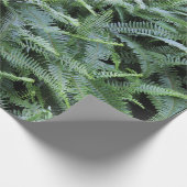 ファーンラッピング紙 ラッピングペーパー (角)