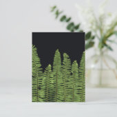 ファーン列 ポストカード (スタンド正面)