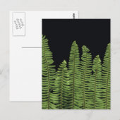 ファーン列 ポストカード (正面/裏面)