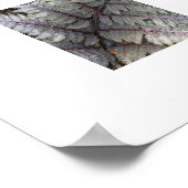 ファーン日本の絵を描フローラ写真 ポスター (角)