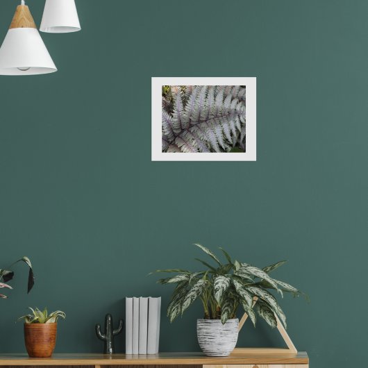 ファーン日本の絵を描フローラ写真 ポスター (リビング1)