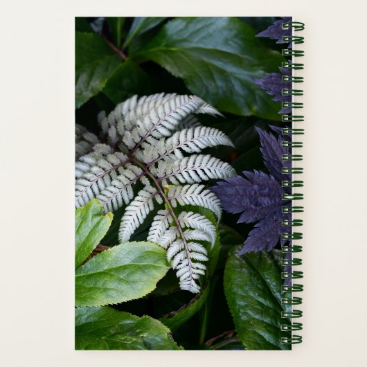 ファーン日本の絵を描フローラ ノートブック (裏面)