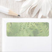 ファーン葉、ライトグリーン。 ラベル (インサイチュ)