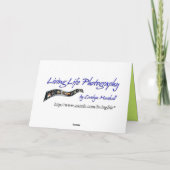 ファーン サンキューカード (裏面)