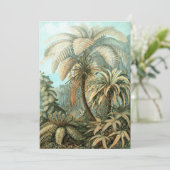 ファーン（フィリシナ科）by Haeckel 招待状 (スタンド正面)