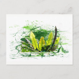 ファーン、ブレター、ドシュンゲル、ランドシャフー、ナトゥール ポストカード