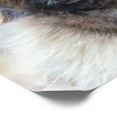 ファー顔 フォトプリント            (角)