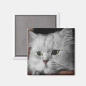 ファー顔 マグネット (正面/裏面)