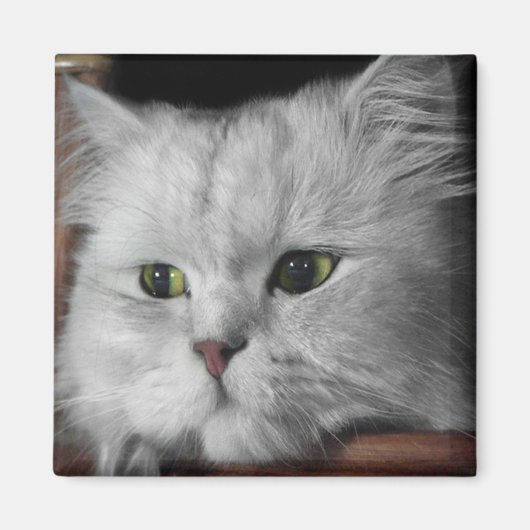 ファー顔 マグネット (正面)