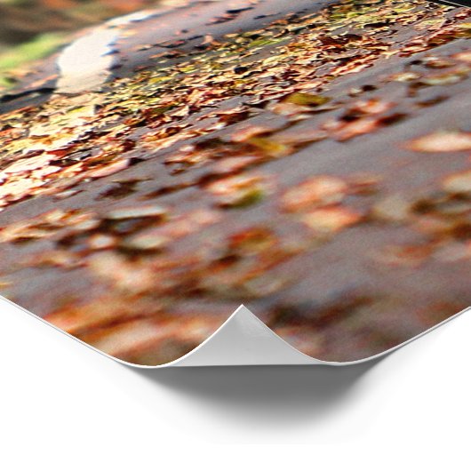 フィアット ポスター (角)