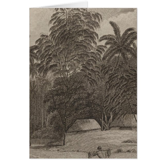 フィアトオカ、トンガバボ、トンガ (正面)