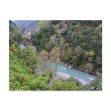 フィウムラオニアパピデロ