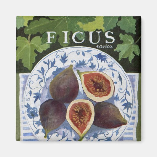フィエウス マグネット (正面)