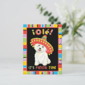 フィエスタウェスティー 招待状 (スタンド正面)