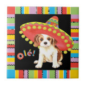 フィエスタカバリエ タイル (正面)