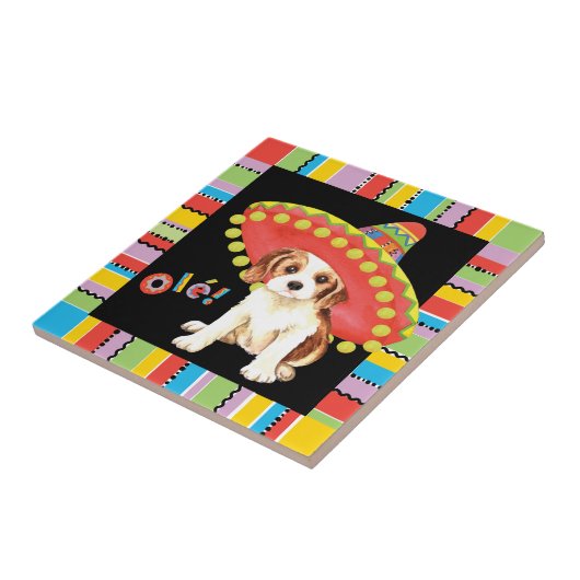 フィエスタカバリエ タイル (側面)