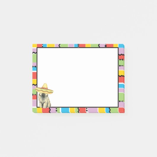 フィエスタケシャンド ポストイット (正面)