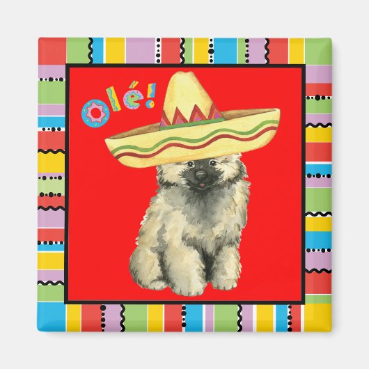 フィエスタケシャンド マグネット (正面)