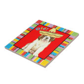 フィエスタサンベルナール タイル (側面)