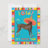 フィエスタゾロ 招待状 (正面)