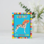 フィエスタペルーインカオーキッド 招待状 (スタンド正面)