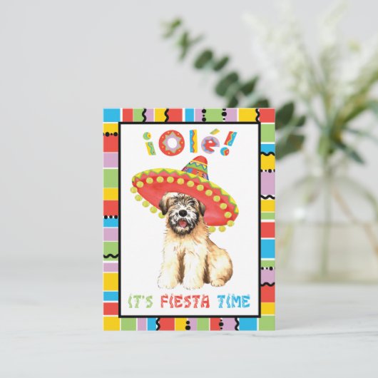 フィエスタホエテン 招待状 (スタンド正面)