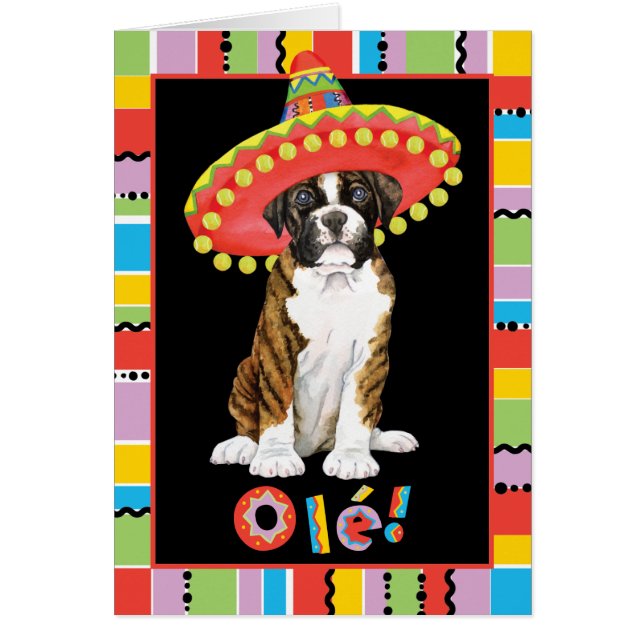 フィエスタボクサー (正面)