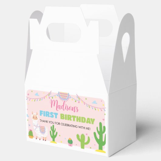 フィエスタラマ誕生日パーティーフェイスボックス フェイバーボックス (オープン)