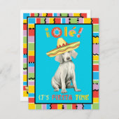 フィエスタワイマラナー招待状 招待状 (正面/裏面)