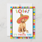 フィエスタヴィツラ招待状 招待状 (正面)