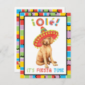 フィエスタヴィツラ招待状 招待状 (正面/裏面)