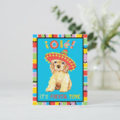 フィエスタ コッカー スパニエル 招待状 (スタンド正面)