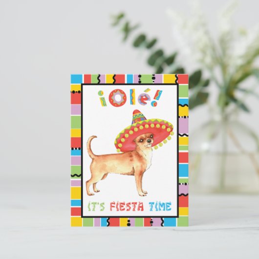 フィエスタ チワワ 招待状 (スタンド正面)