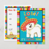 フィエスタ ビション 招待状 (正面/裏面)