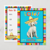 フィエスタ ワイマラナー ご招待 招待状 (正面/裏面)