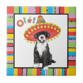 フィエスタPWD タイル (正面)