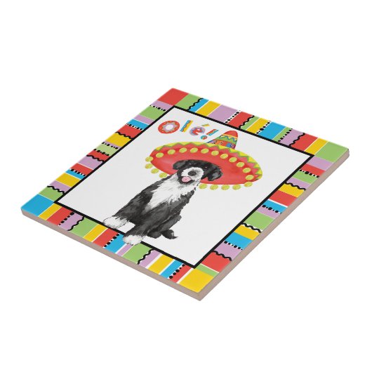 フィエスタPWD タイル (側面)