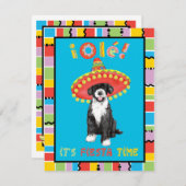 フィエスタPWD 招待状 (正面/裏面)