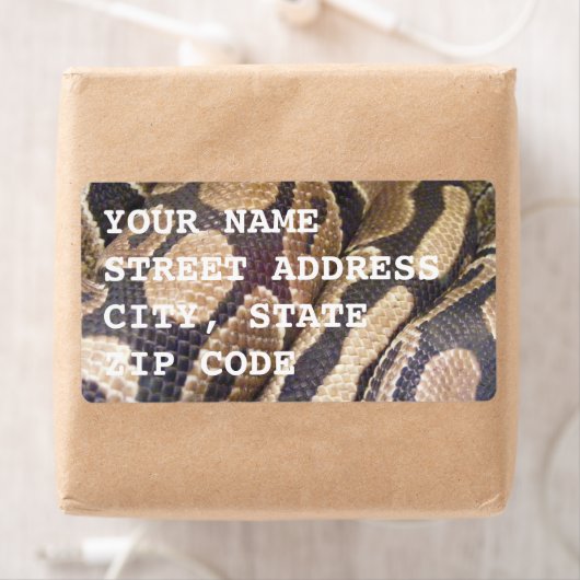 フィオナ血圧 ラベル (インサイチュ)