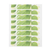 フィカス植物2 ラップアラウンドラベル (シート)